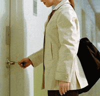 puertas seguridad